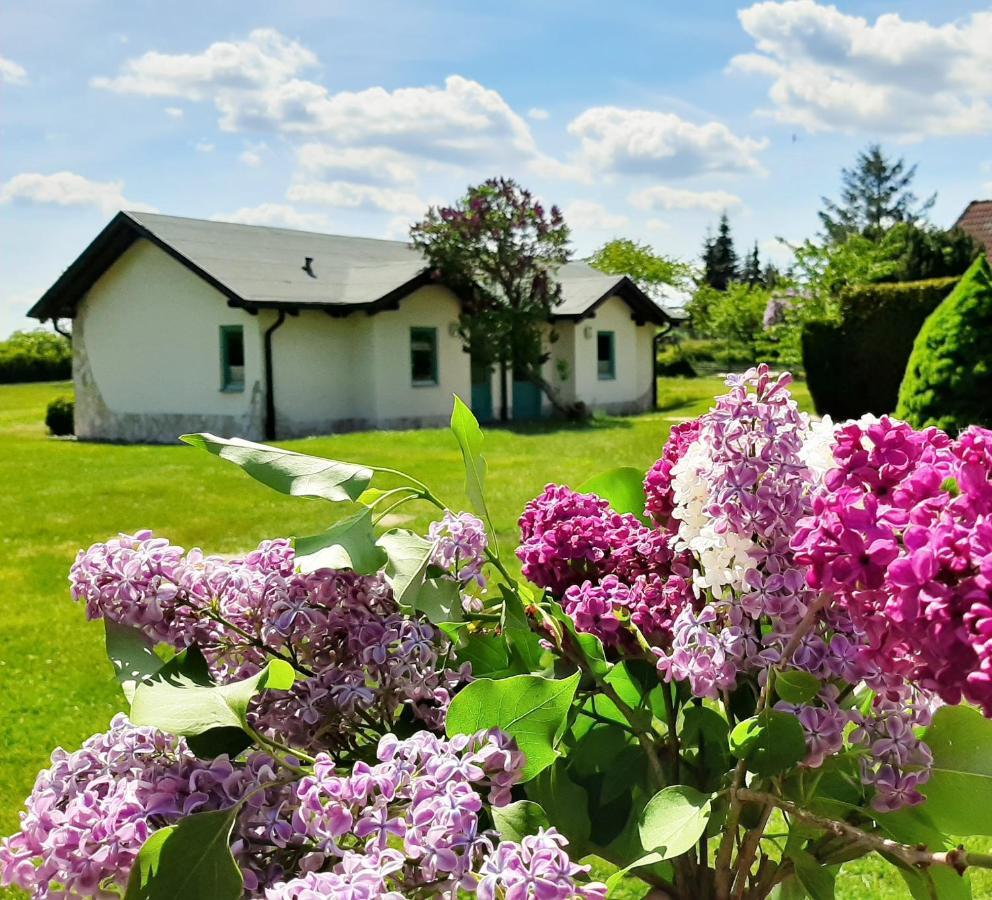 Pension Landhaus Teichgraf فولغاست المظهر الخارجي الصورة